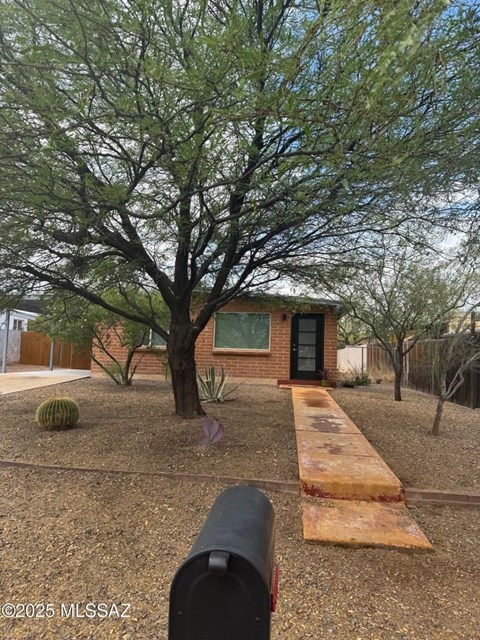 A tree in a yard with a house in the background.