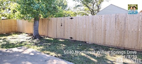 A tree is growing in a yard next to a wooden fence.