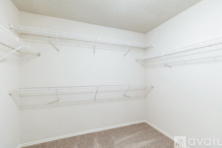 Empty white closet with shelves and carpeted floor.