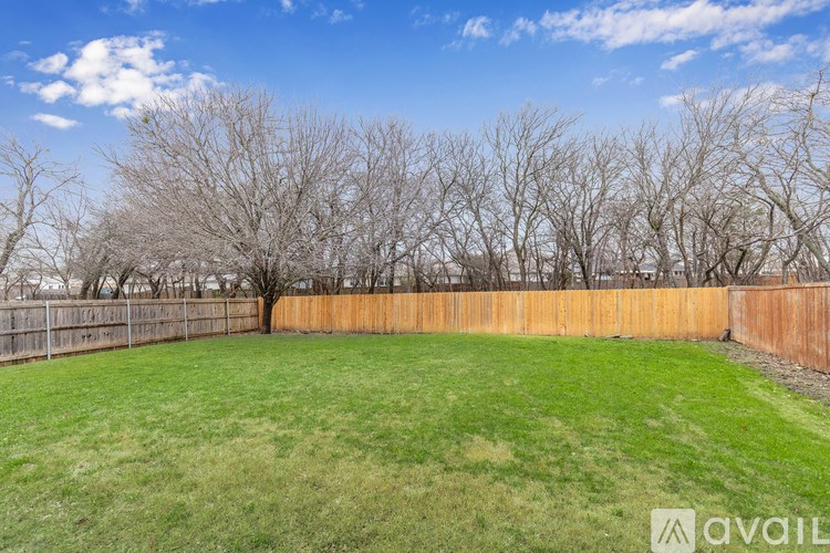 A backyard with a fence and leafless trees.