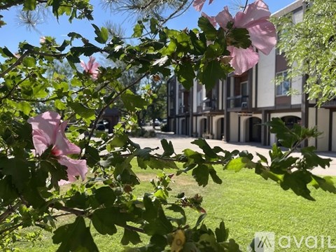 A tree with pink flowers in front of a building.