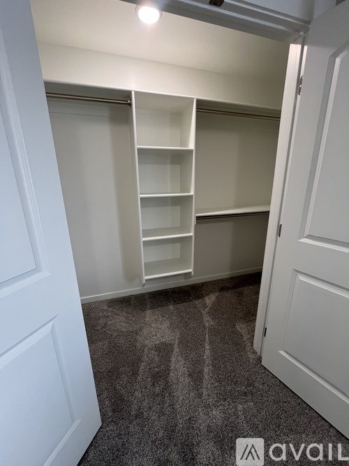 A white closet with shelves and a carpeted floor.