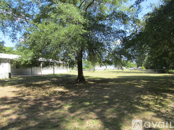 A tree stands in a grassy field with a building in the background.