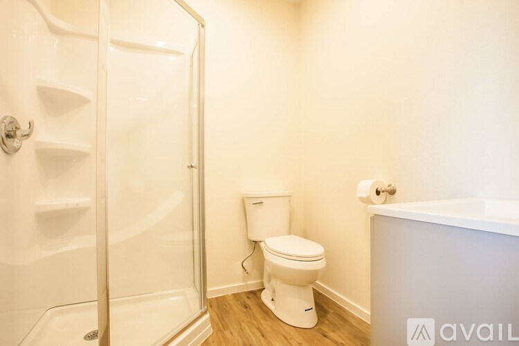 A white toilet sits next to a walk-in shower in a bathroom.