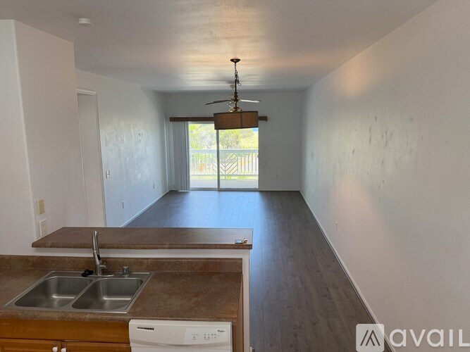 A kitchen with a sink, a dishwasher, and a window.