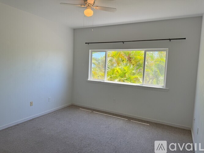 A room with a carpeted floor, a ceiling fan, and a window with blinds.
