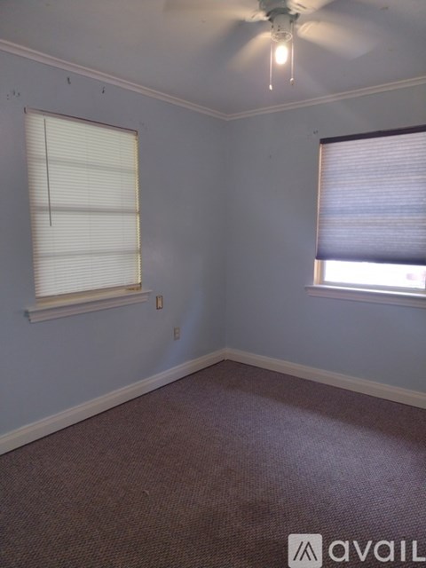A room with a carpeted floor, a ceiling fan, and two windows.