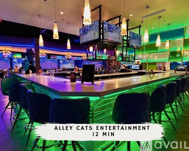 A bar with a long table and chairs is advertised for Alley Cats Entertainment.