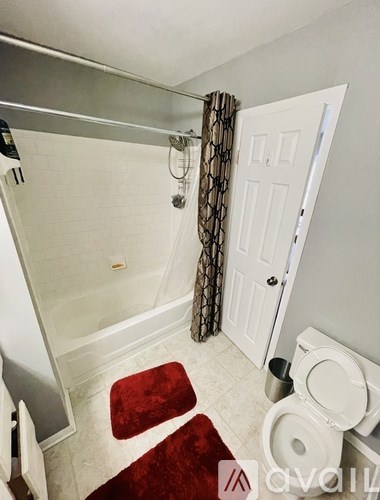 A bathroom with a toilet, a shower, and a red rug.