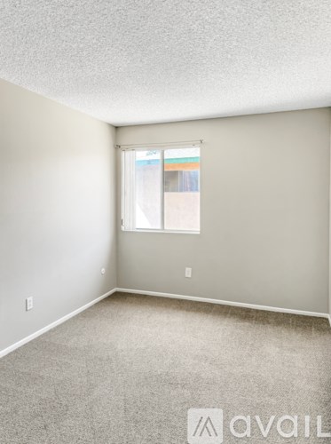 A room with a carpeted floor and a window.