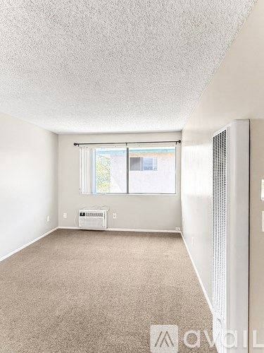 A room with a window and a carpeted floor.