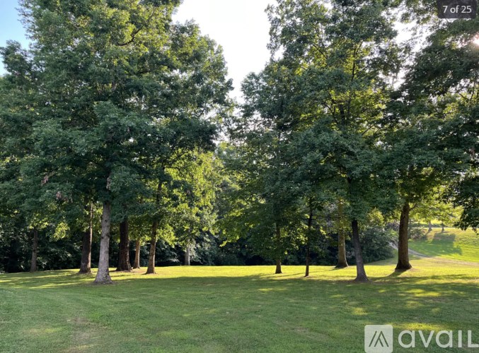 A grassy area with trees and a path.
