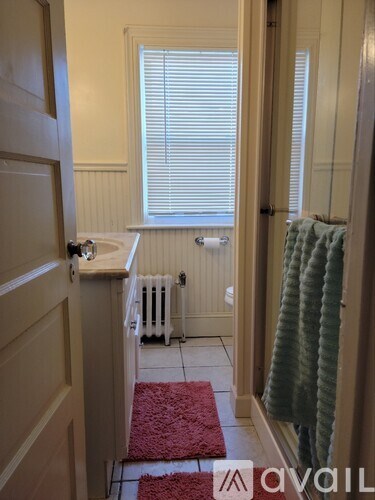 A bathroom with a red rug and a green towel.