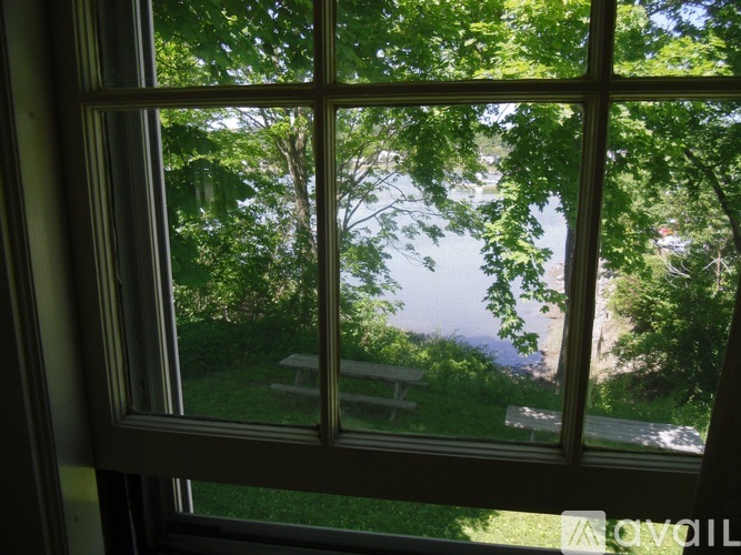 A window with a view of a green lawn and trees.