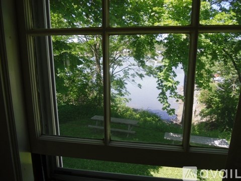 A window with a view of a green lawn and trees.