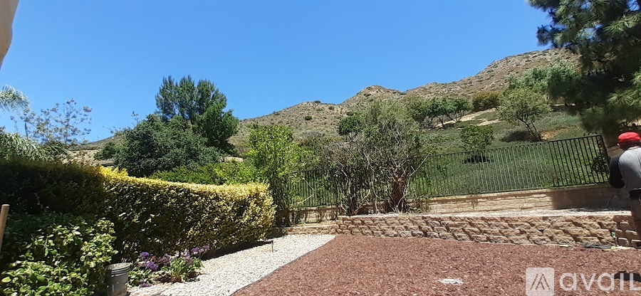 A garden with a stone pathway leading to a gate.