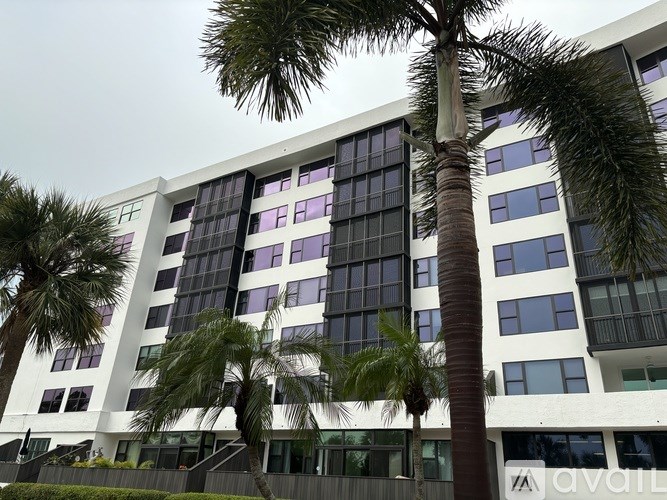 A tall white building with a palm tree in front.