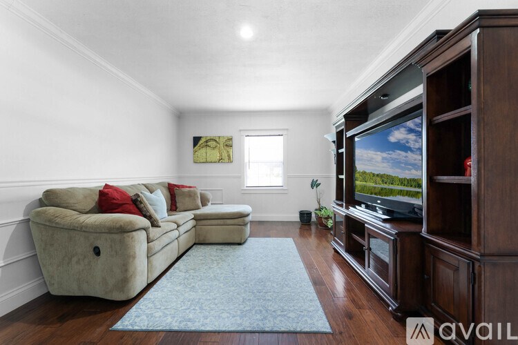 A living room with a couch, a television, and a rug.