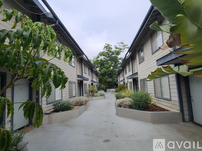 A row of houses with a pathway between them.