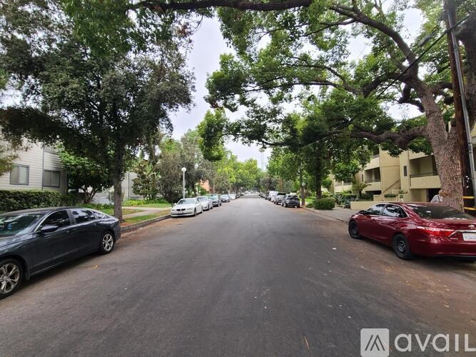 A street lined with parked cars and trees.