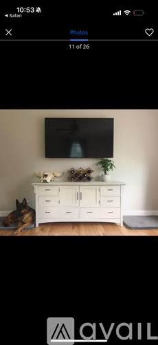 A dog is sitting in front of a white cabinet with a TV mounted on the wall.
