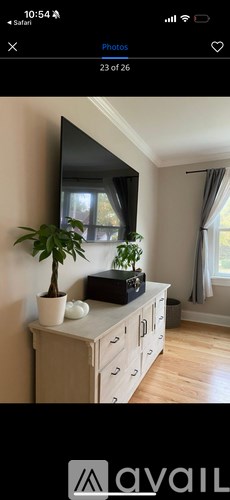 A living room with a television, a plant, and a cabinet.