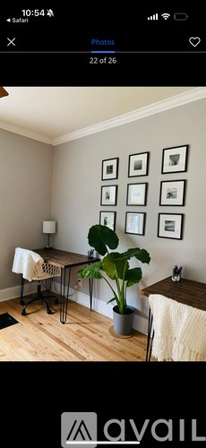 A room with a wooden floor, a white wall, a potted plant, a chair, a table, and a white towel.