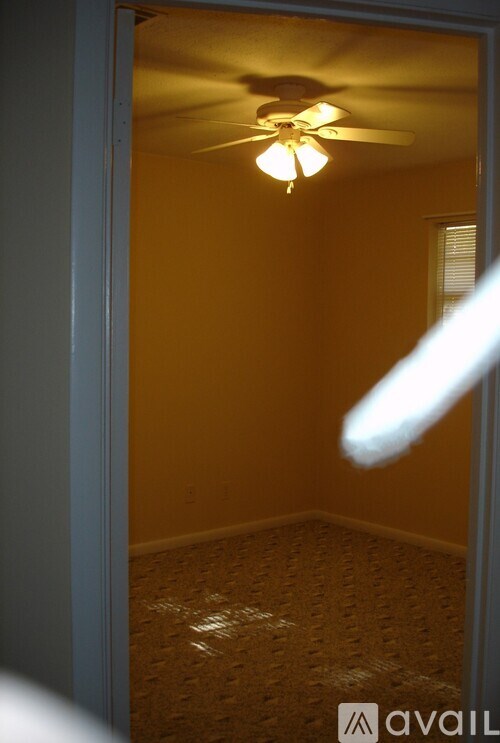 A room with a ceiling fan and a carpeted floor.
