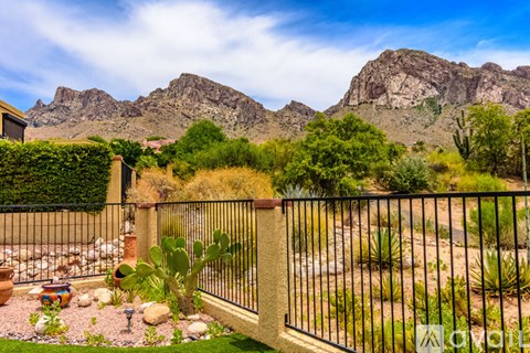 A black metal fence in front of a garden with a mountain in the background.