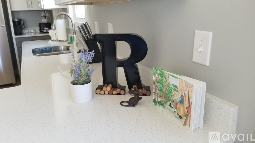 A kitchen counter with a large letter R and a small potted plant.