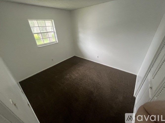 A room with a window and a carpeted floor.