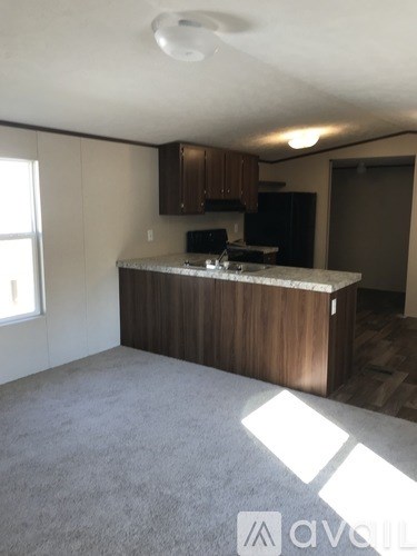 A kitchen area with a counter and cabinets.
