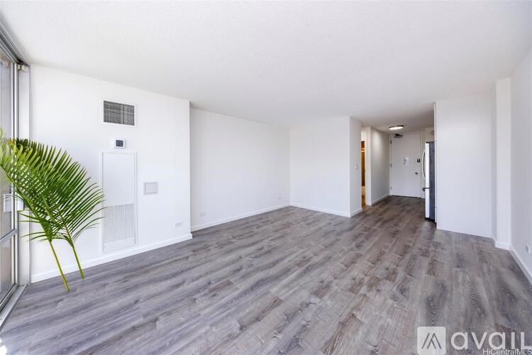 A room with wooden flooring and white walls, with a plant on the left and a door on the right.