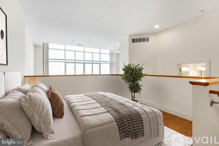 A bedroom with a bed, pillows, a blanket, a small tree, and a window.