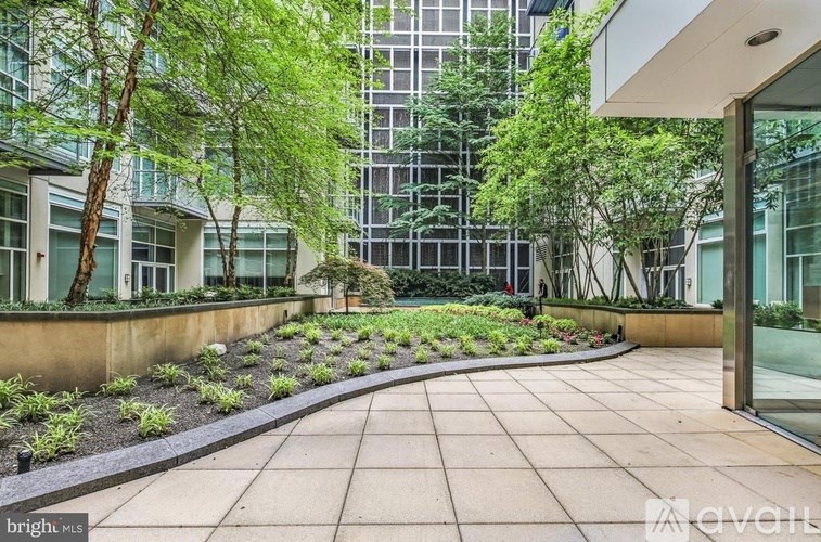 A modern courtyard with a paved path and greenery.