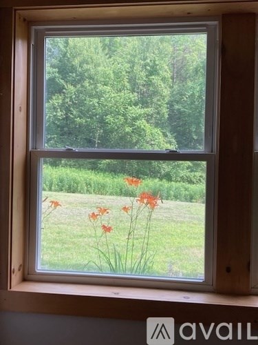 A window with a view of a garden and trees outside.