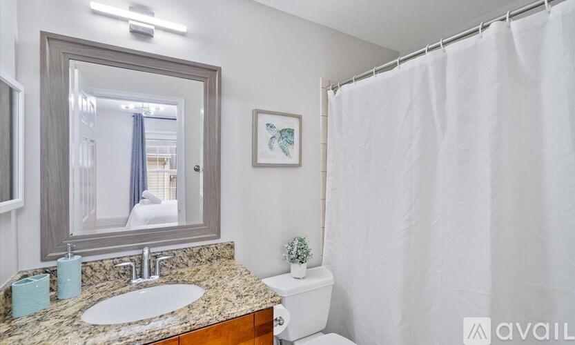 A bathroom with a white shower curtain and a framed picture on the wall.