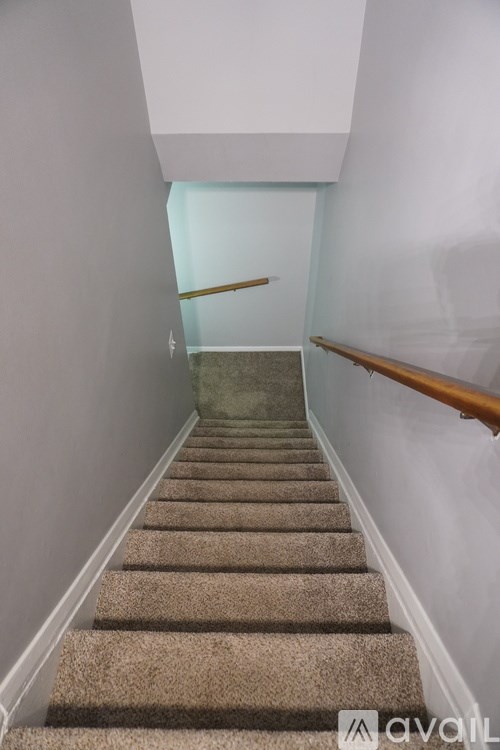 A staircase with a carpeted runner and wooden handrails.