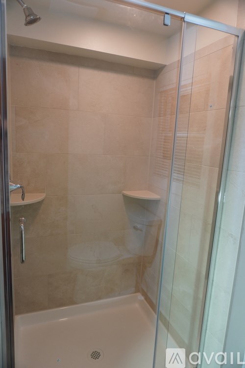 A bathroom with a glass shower door and a white toilet.
