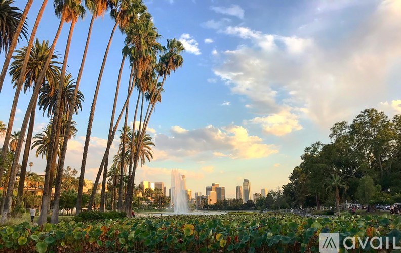 A fountain in the middle of a park with palm trees and buildings in the background.