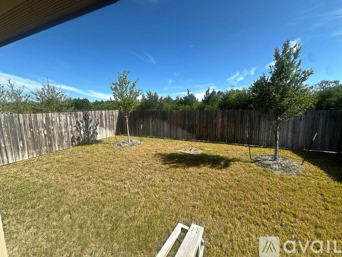 A backyard with a wooden fence and a tree.