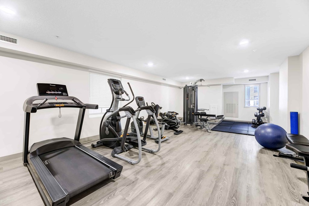 A spacious home gym with a variety of exercise equipment including a treadmill, stationary bike, and weights.