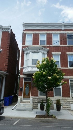 A tree in front of a building with a brown door.