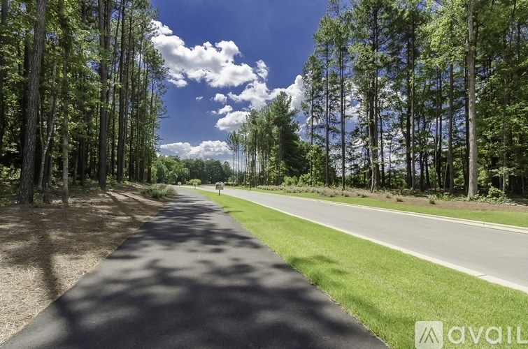 A tree-lined road stretches into the distance under a blue sky.