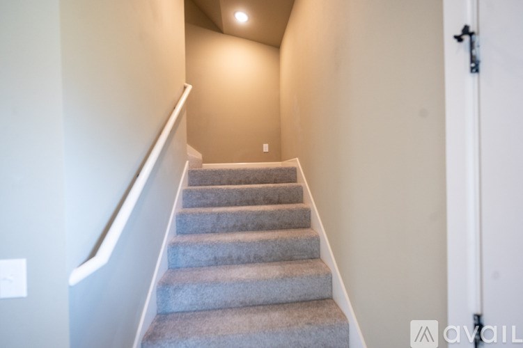 A staircase with a carpeted runner and white risers.
