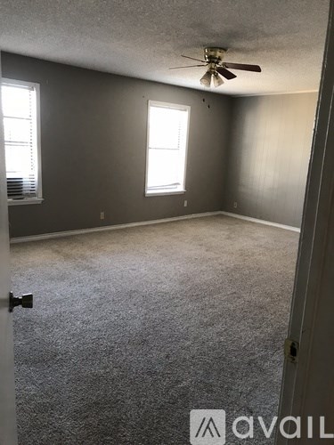 A room with a carpeted floor, a ceiling fan, and two windows.