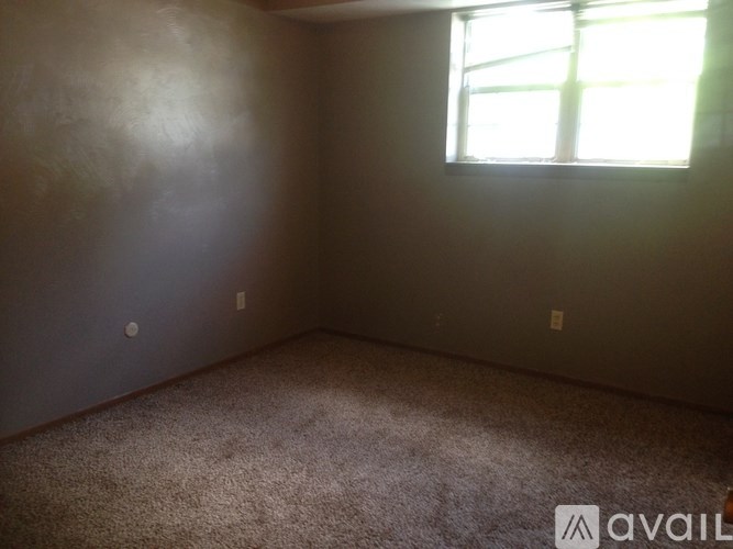 A room with a carpeted floor and a window letting in sunlight.