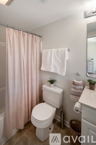 A bathroom with a toilet, sink, and shower curtain.