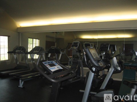 A gym with treadmills and elliptical machines.