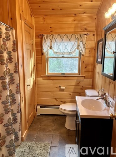 A bathroom with wooden walls and a window with a curtain.